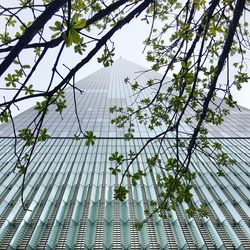 Low angle view of tree against sky