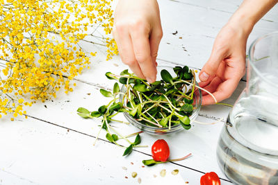 A woman prepares a salad of green sprouts with tomatoes. healthy detox food