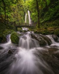 Waterfall in forest