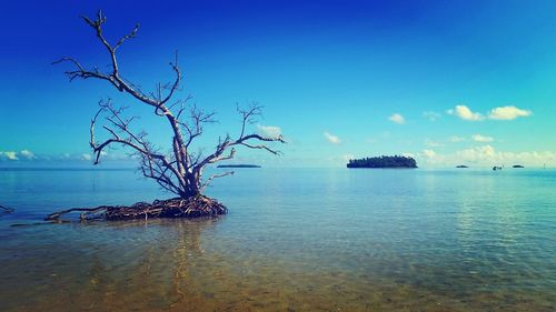 Scenic view of sea against blue sky