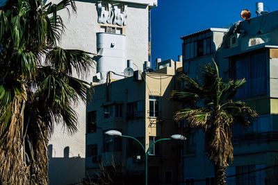 Palm trees and buildings against blue sky