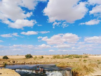 People on land by trees against sky