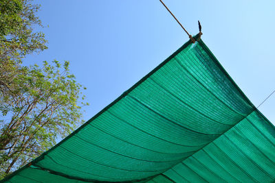 Low angle view of plant against clear blue sky