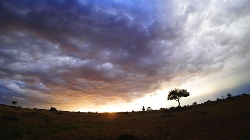 Silhouette trees on field against sky at sunset