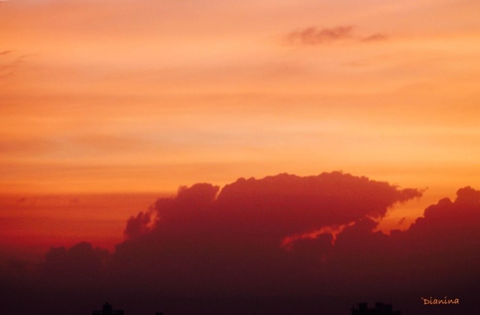 sunset, orange color, scenics, beauty in nature, silhouette, sky, tranquility, tranquil scene, idyllic, cloud - sky, nature, dramatic sky, outdoors, low angle view, no people, majestic, cloud, dusk, cloudy, tree