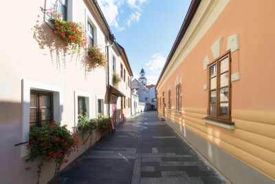 Alley amidst houses and buildings against sky