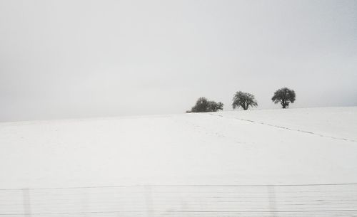 Trees on snow covered landscape against clear sky