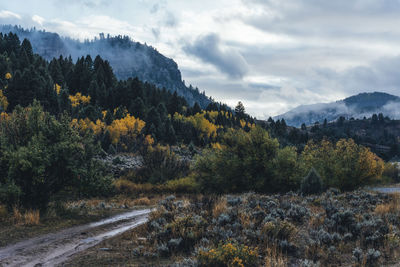 Scenic view of trees and mountains against sky