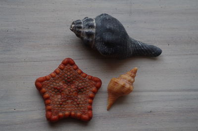 High angle view of crab on table