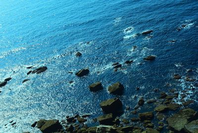 High angle view of rocks on beach