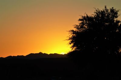 Silhouette trees against sky during sunset