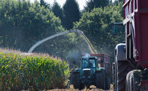 Combine harvester harvesting in farm