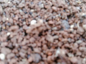 Full frame shot of pebbles on beach