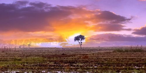 Scenic view of field against sky during sunset