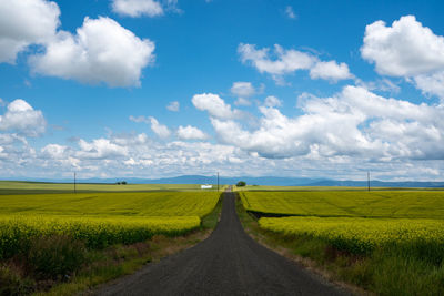 Empty road amidst field against sky