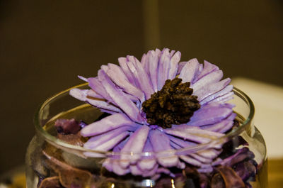 Pink flower in glass jar