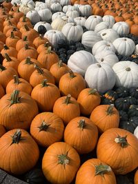 High angle view of pumpkins for sale at market