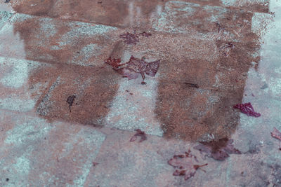 Full frame shot of old wall