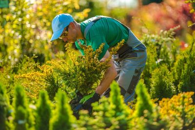 Side view of mid adult man cutting plants at garden