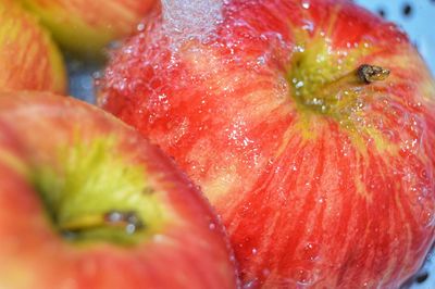 Close-up of red fruit