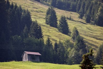 Scenic view of land and trees on field