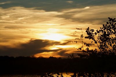 Silhouette trees on field against romantic sky at sunset