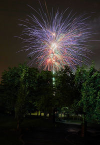 Low angle view of firework display at night