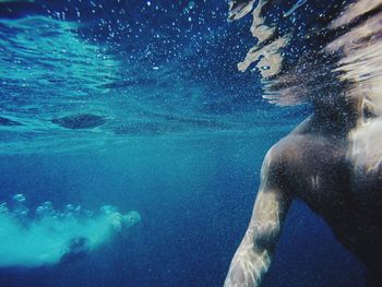 Fish swimming in sea