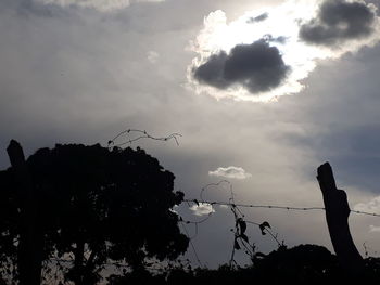 Low angle view of silhouette trees against sky