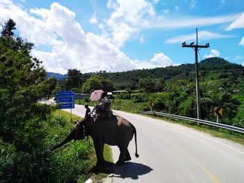 Horse riding motorcycle on road against sky