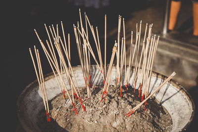 Close-up of incense sticks in container