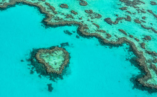 High angle view of heart shape underwater