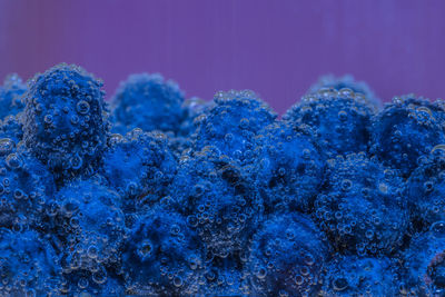 Close-up of blue background