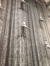 Full frame shot of tree trunk