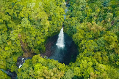 High angle view of waterfall in forest