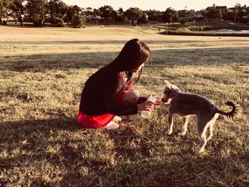 Girl playing with dogs while crouching on grassy field during sunset