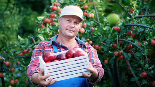 Portrait of handsome male farmer holding a wooden box with red ripe organic apples, smiling