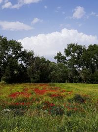 Scenic view of field against cloudy sky