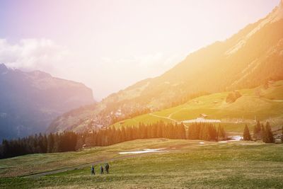 Scenic view of field and mountains against sky