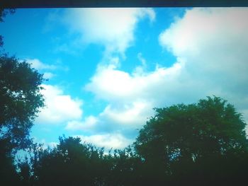 Low angle view of trees against cloudy sky