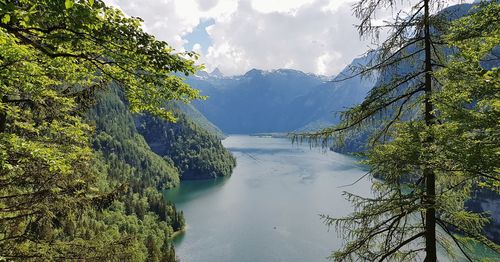 Scenic view of river amidst trees against sky