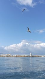 Birds flying over sea against sky