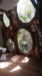 Trees seen through window in forest