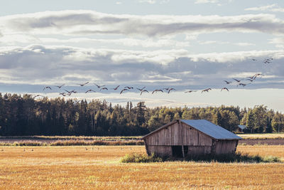 House on field against sky