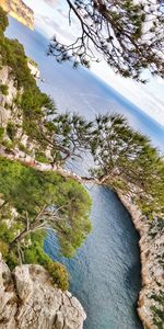 High angle view of trees by rocks against sky