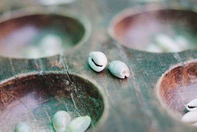 Close-up of shell on metal