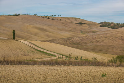 Scenic view of agricultural field against sky