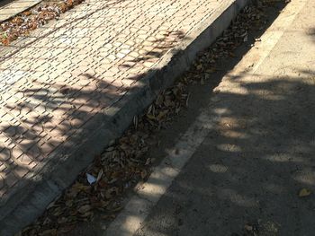 Shadow of sunlight on cobblestone