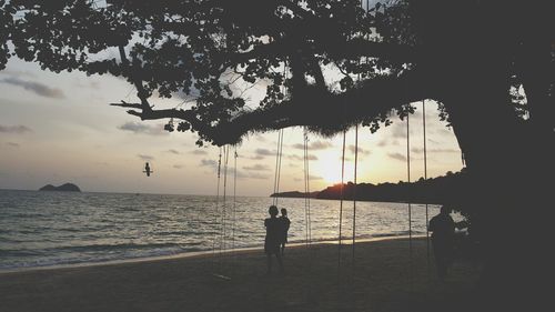 Silhouette of trees at sunset