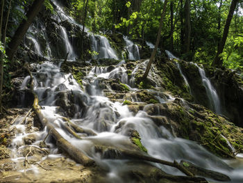 Scenic view of waterfall in forest